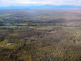 Tazlina Southwest with views of the Chugach Mountains and Trans-Alaska Pipeline in the background.