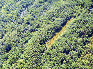 Tofty - Alaska Division of Mining, Land, and Water