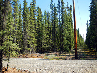 Electrical line and gravel road in the Tok Tract 5 Subdivision.