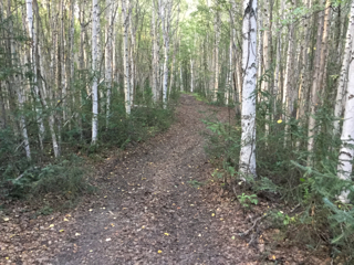 Access Trail, ADL 421306