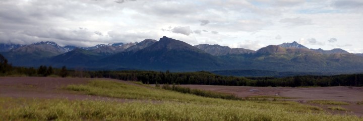 decorative banner image