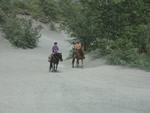 Horseback riding along the river flats near Jim Creek