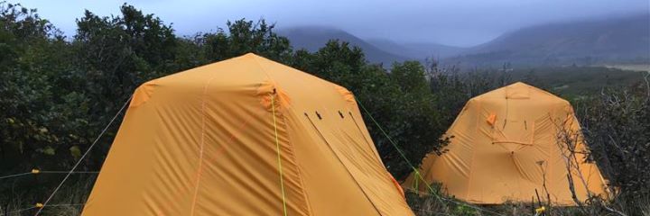 decorative banner image