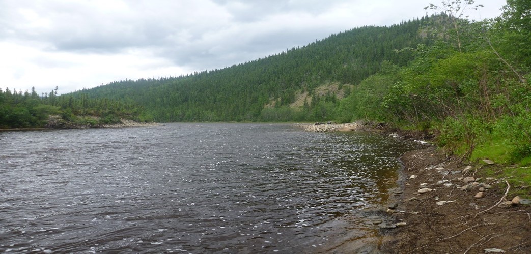 banner image depicting the Fortymile River