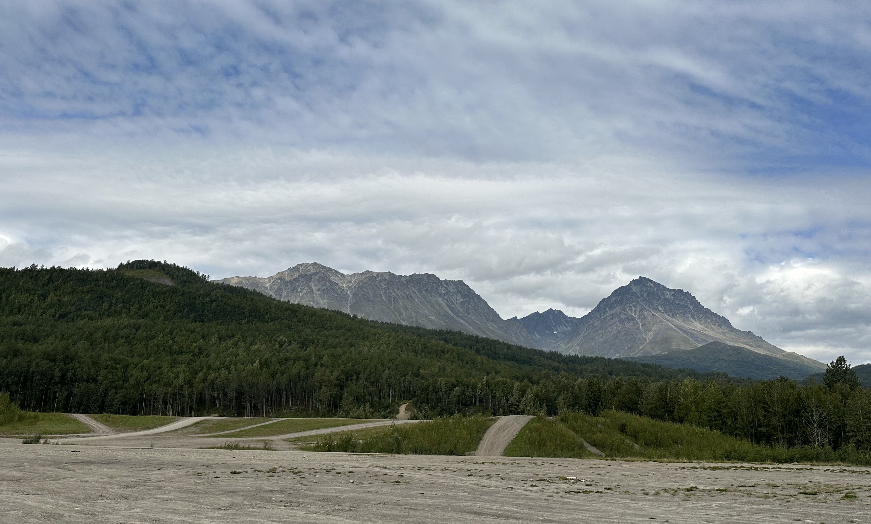 banner image, depicting a gravel clearing in the Jonesville Public Use Area.