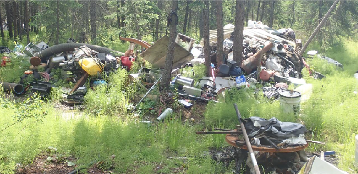 Dump Pile