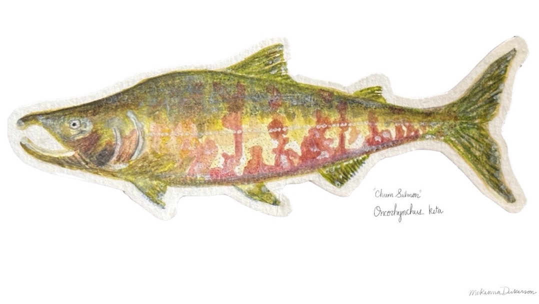 A close-up of a fish