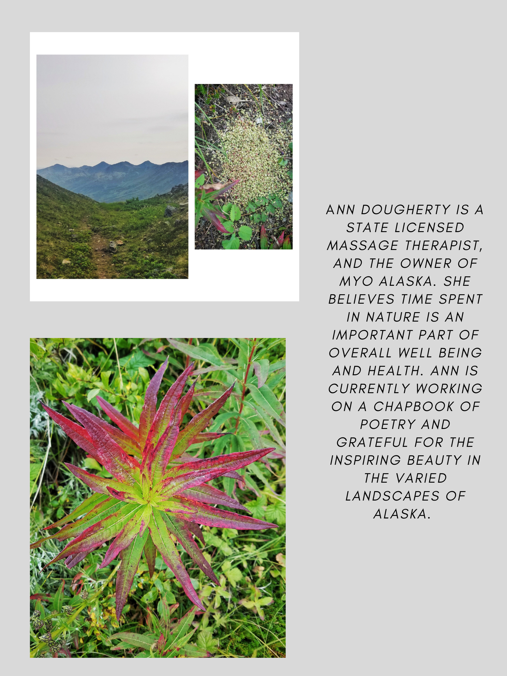 Ann Dougherty is a state licensed massage therapist, and the owner of Myo Alaska. She believes time spent in Nature is an important part of overall well being and health. Ann is currently working on a chapbook of poetry and grateful for the inspiring beauty in the varied landscapes of Alaska.