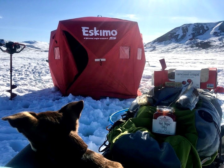 Doggo and snomachine at ice fishing location on Fielding Lake