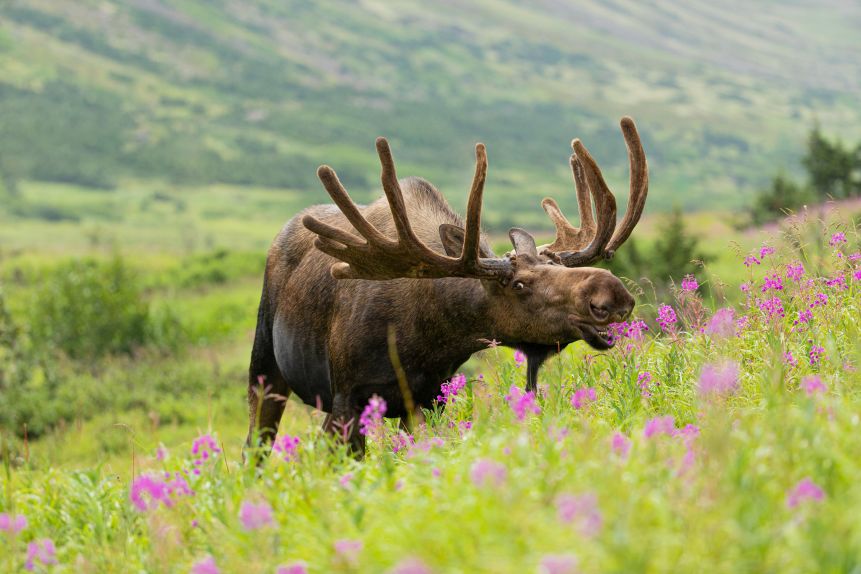 01. Just Gonna Take A Bite-Jerry Herrod