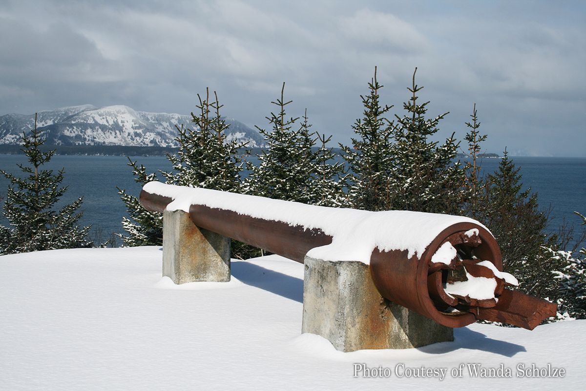 Fort Abercrombie Sentry Gun