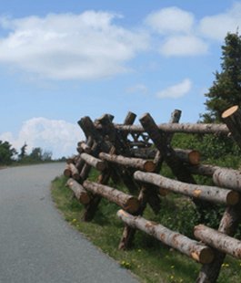 Glen Alps Trailhead and Viewpoint