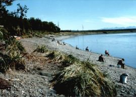 Fishing on Kenai Bank