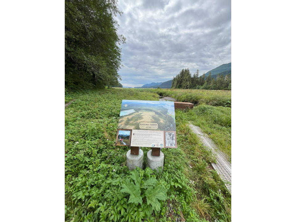 Photo of the installed panel