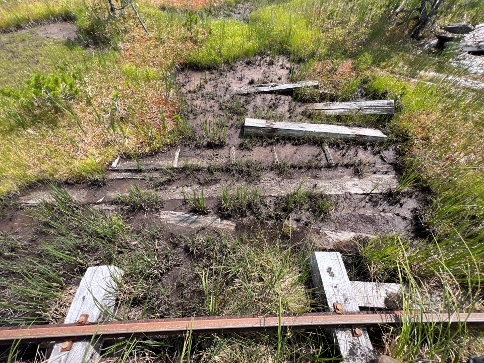 Photo of weathered tram rails