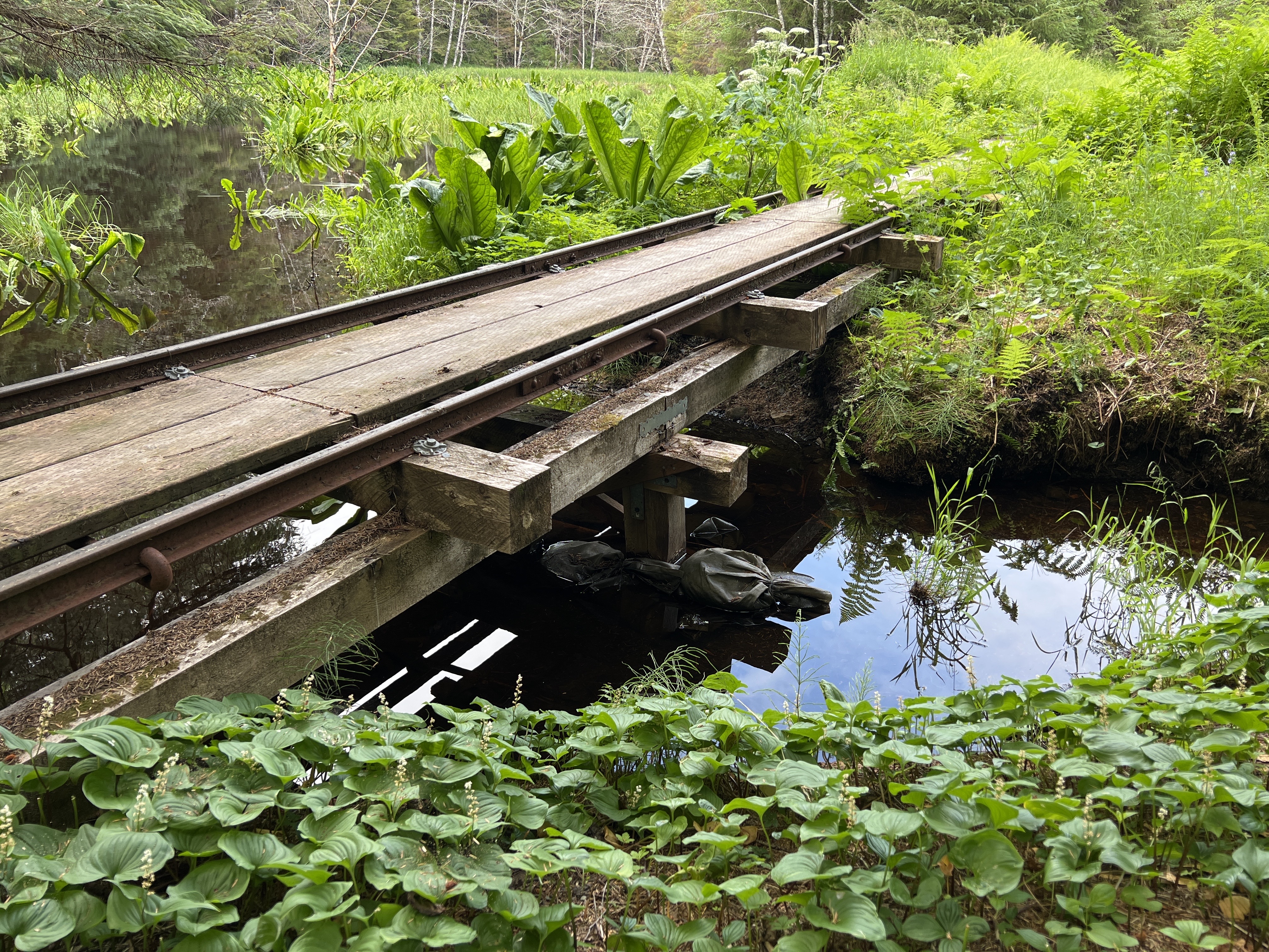 Photo of weathered tram rails