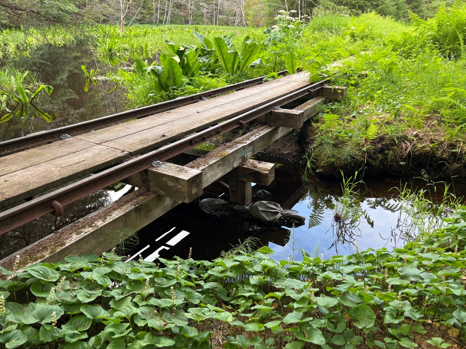 Photo of weathered tram rails