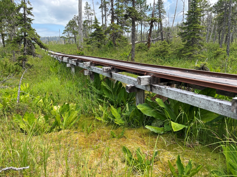 Photo of weathered tram pulley