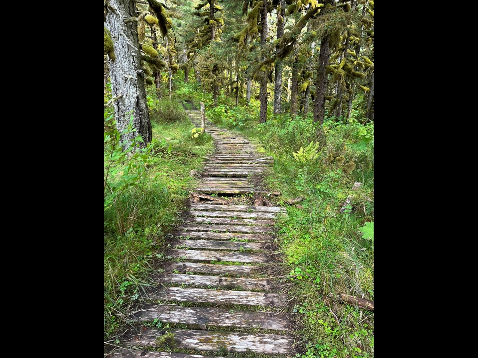Waterfall Bay Cabin Trail
