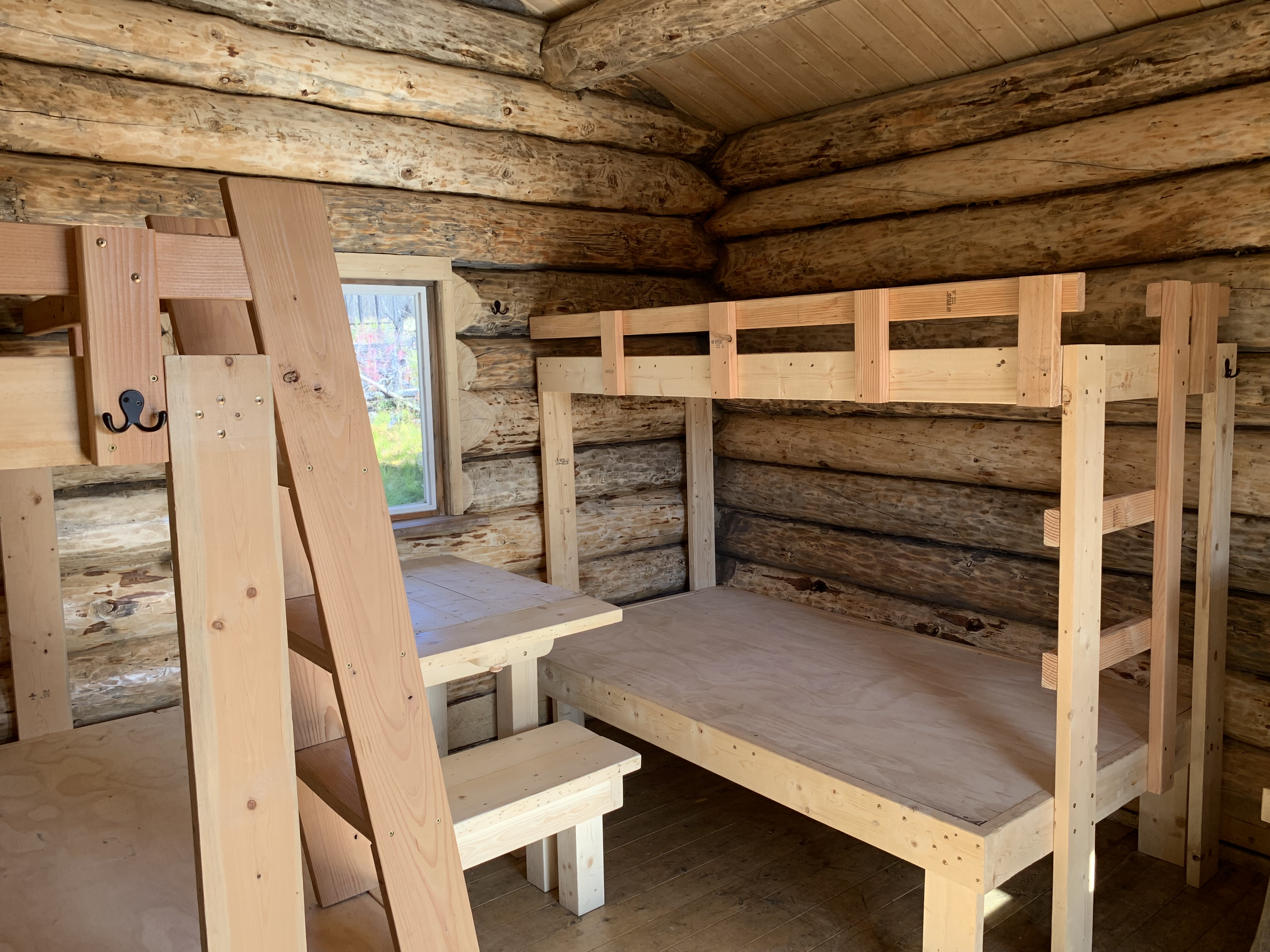 Mastadon Cabin Interior