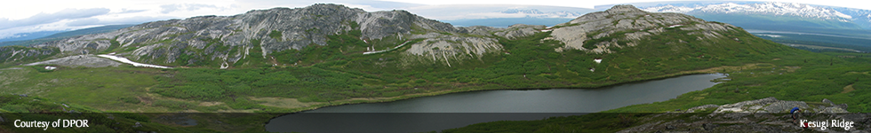 Kesugi Ridge Trail