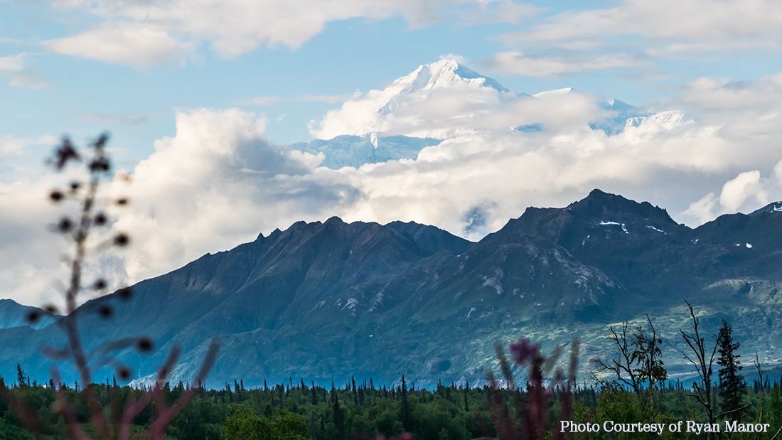 Mountains in Denali State Park