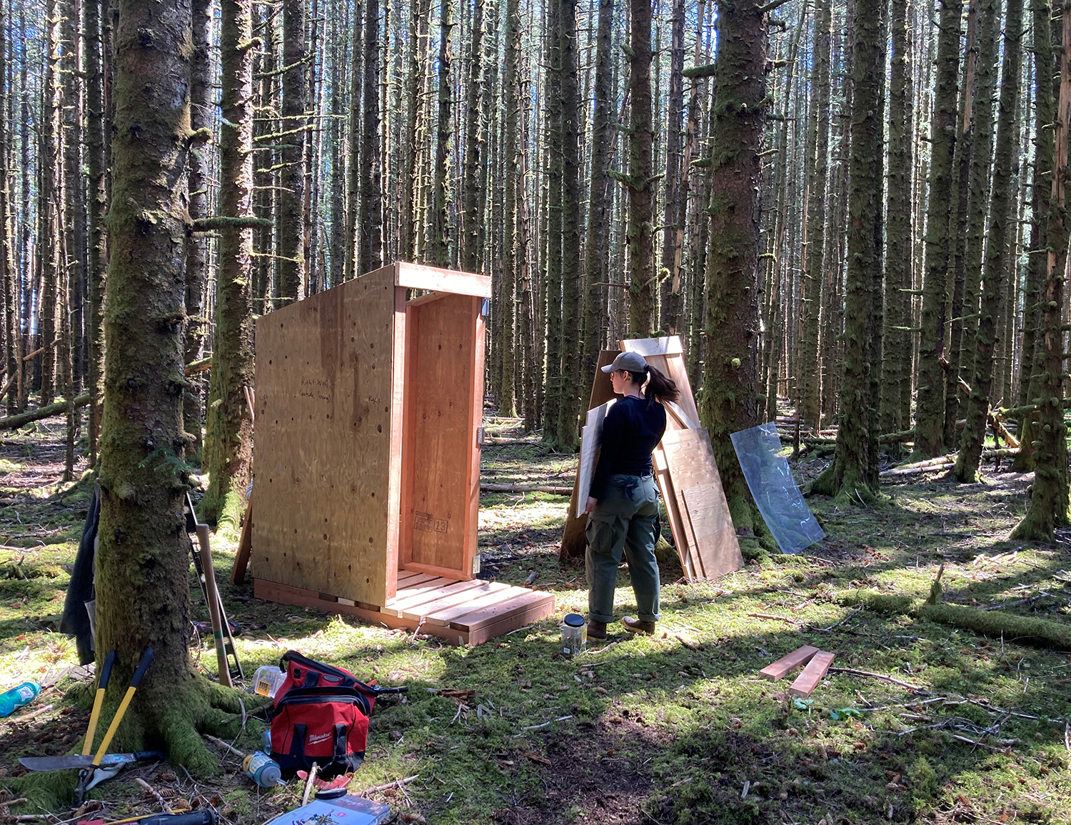 Outhouse construction in woods