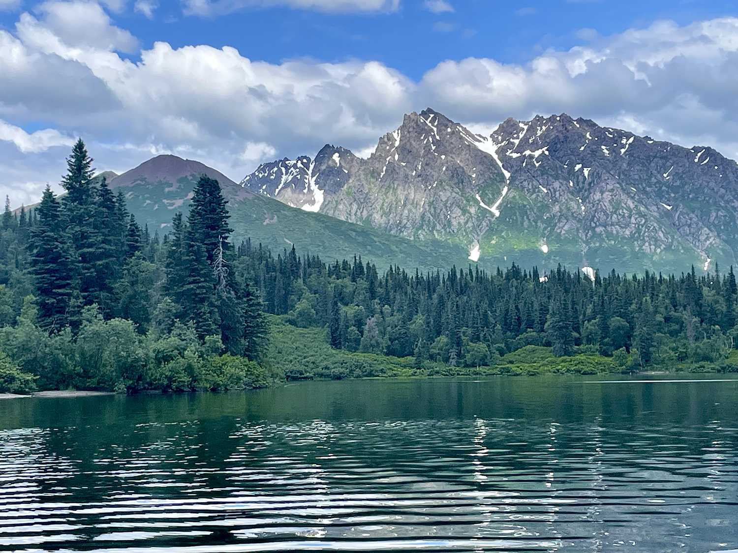 Scenic vew of lush green forest and mountains across a small lake shore