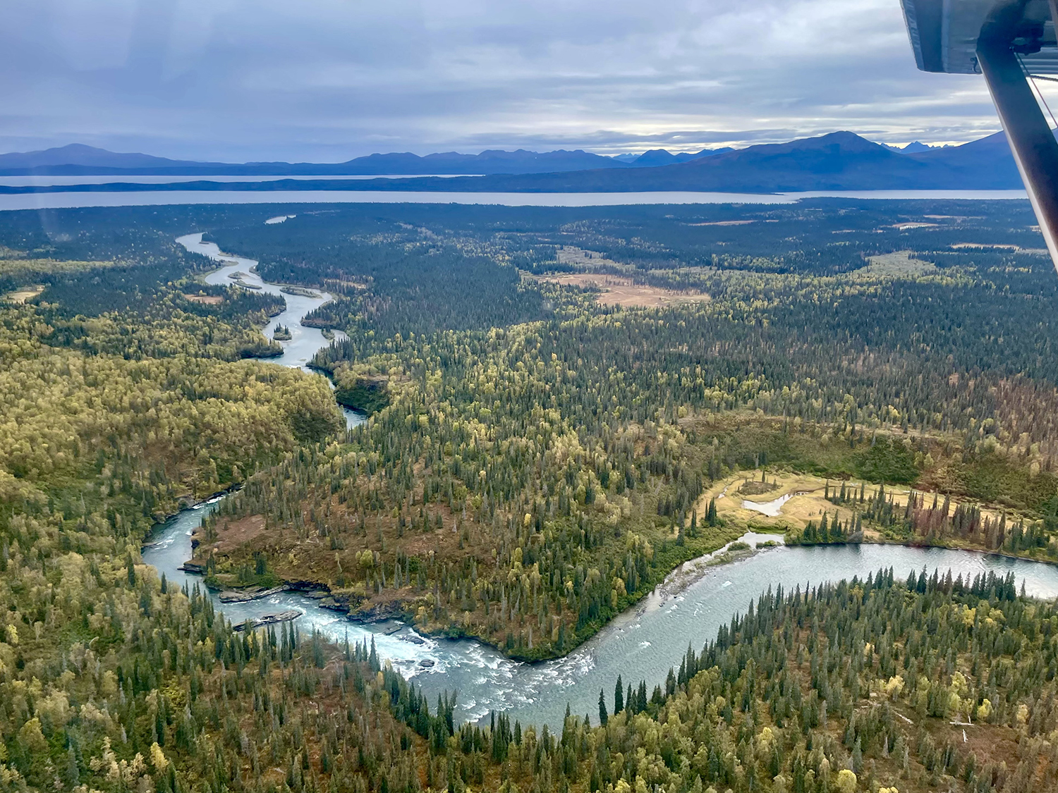 View from an airplane of a winding river feeding into a lake