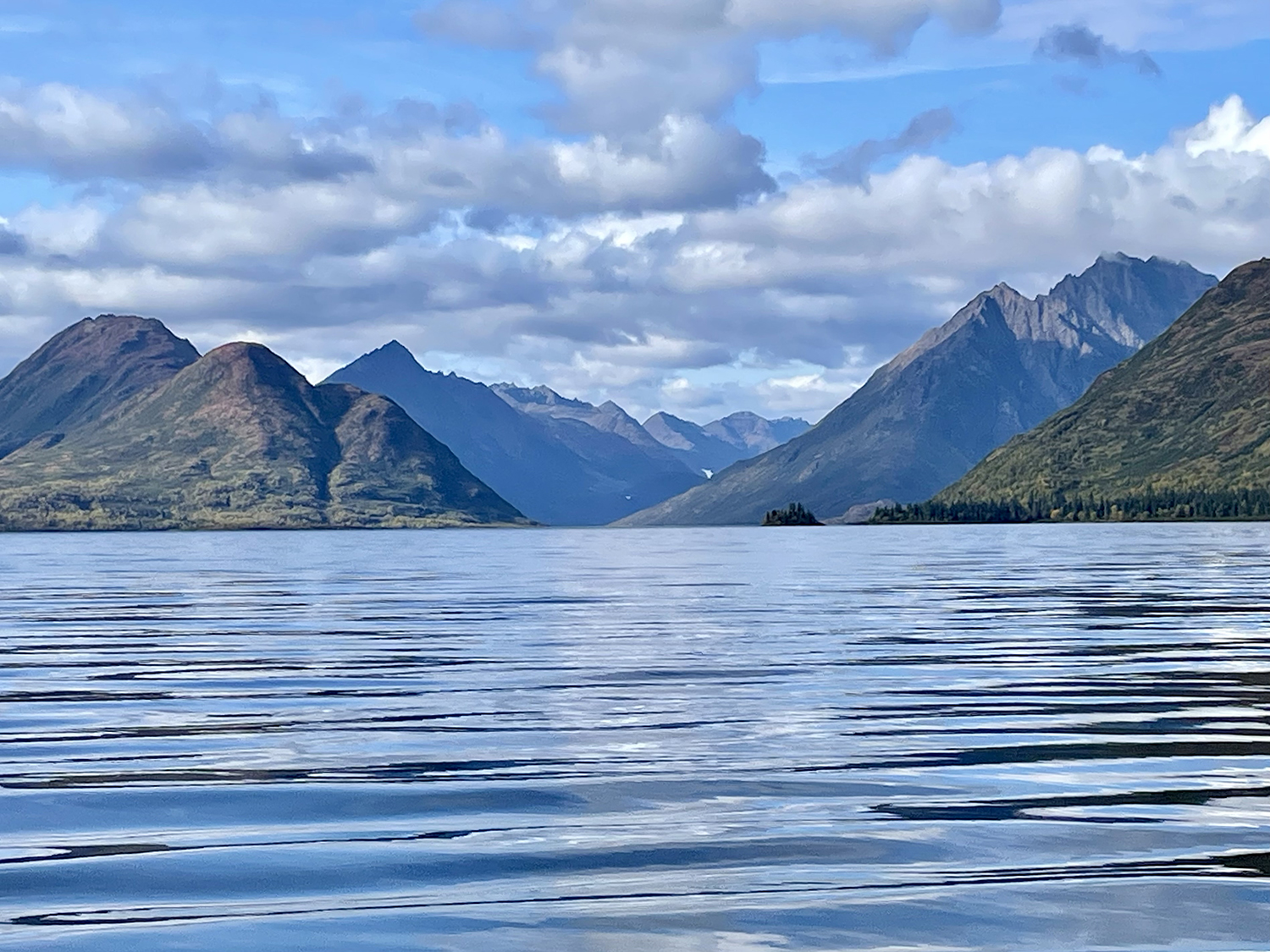 View of mountains and trees from the center of Lake Aleknagik
