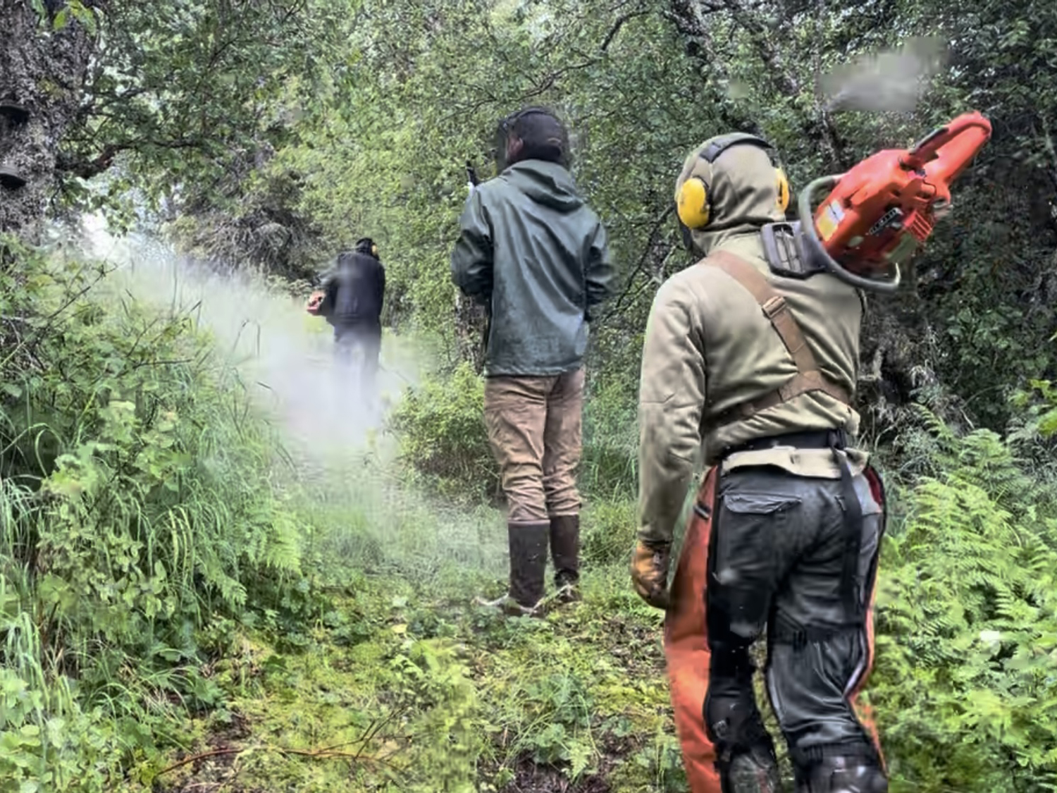 ACC trail crew brush cutting trails