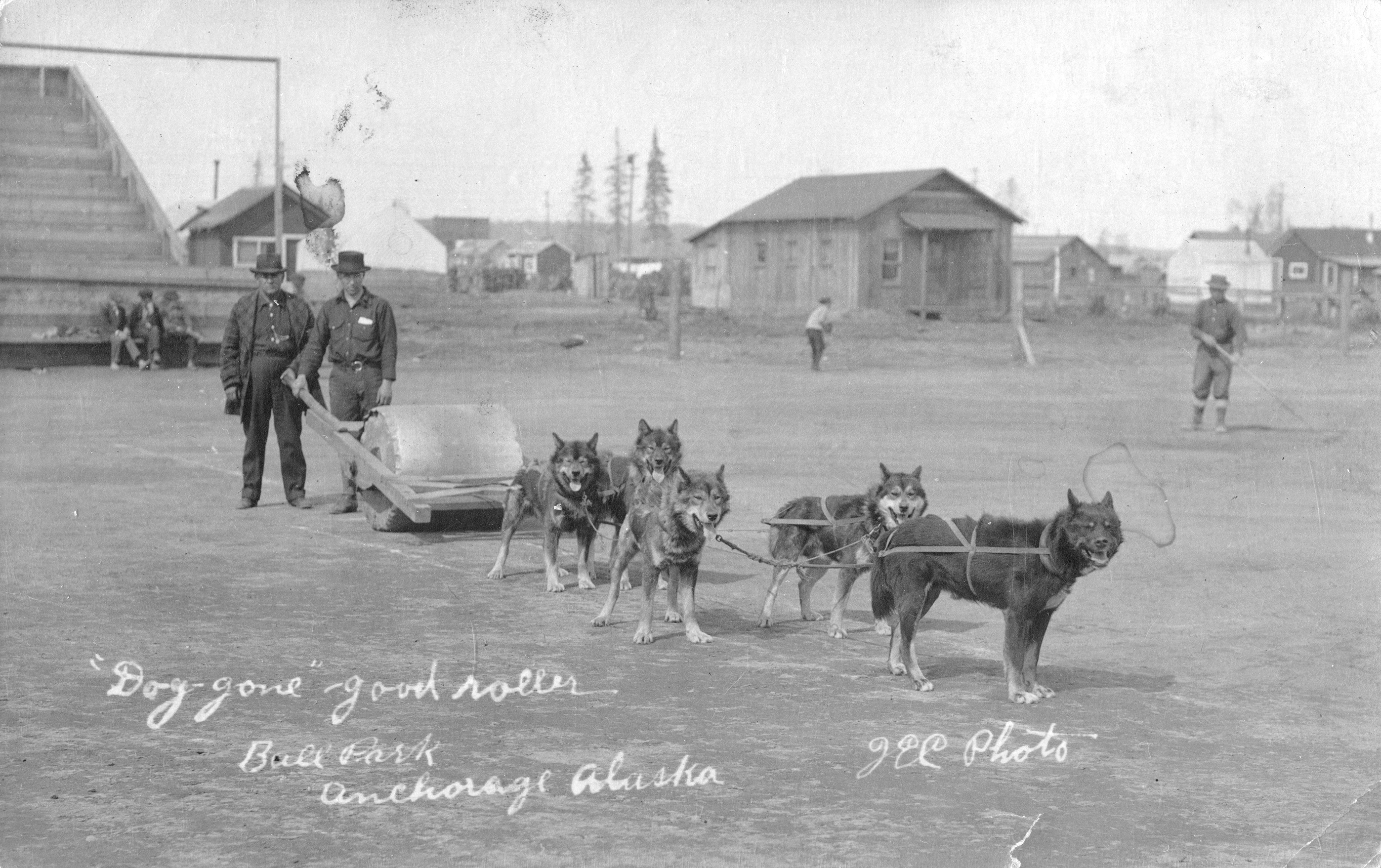 Rolling the Anchorage ballfield Alaska style, ca. 1920. Courtesy of the Anchorage Museum.