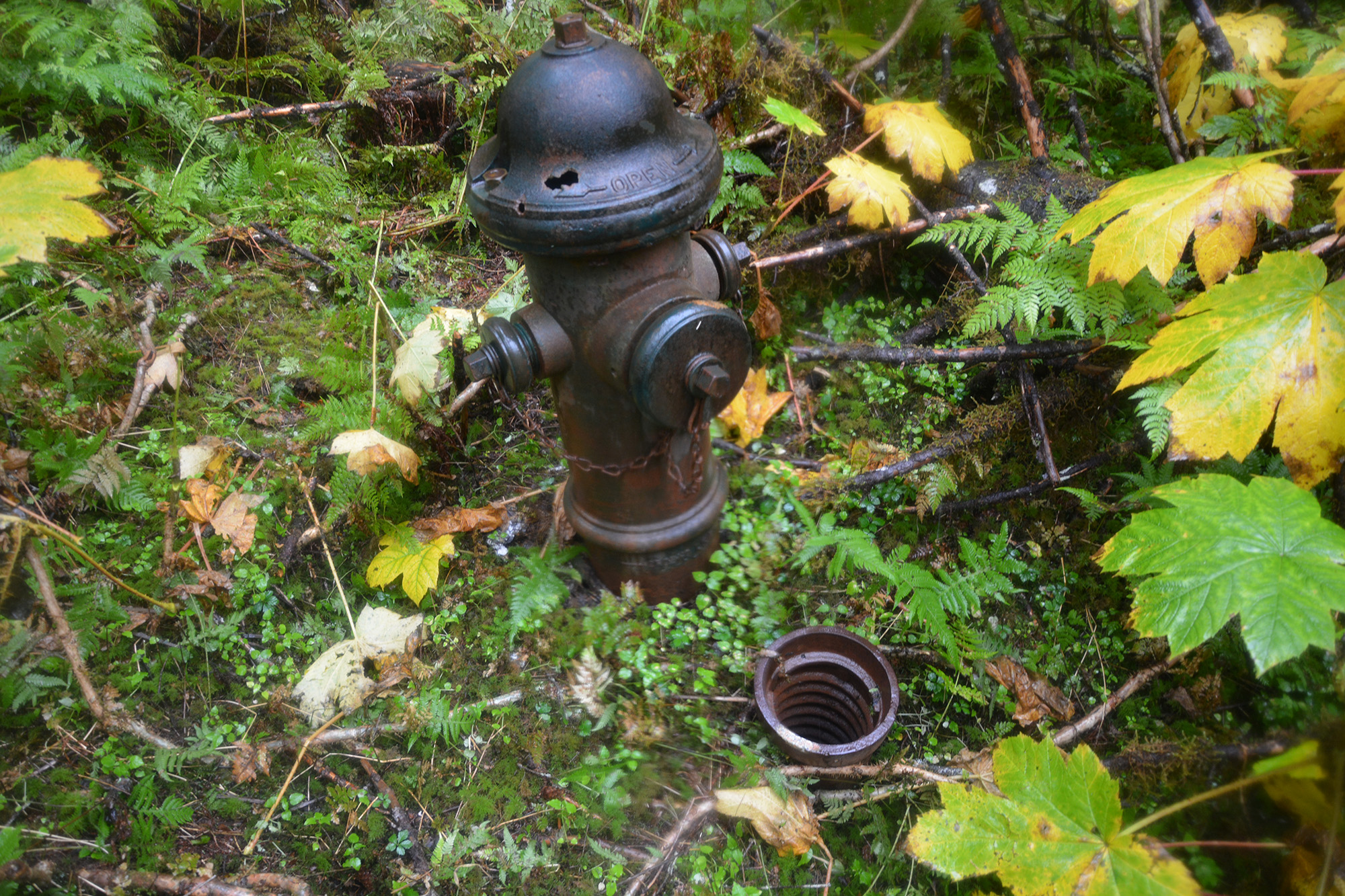 A fire hydrant at South Beach is evident of the extraordinary infrastructure the Army installed to support its mission to protect Resurrection Bay. September 2021
