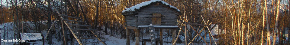 elevated log cabin