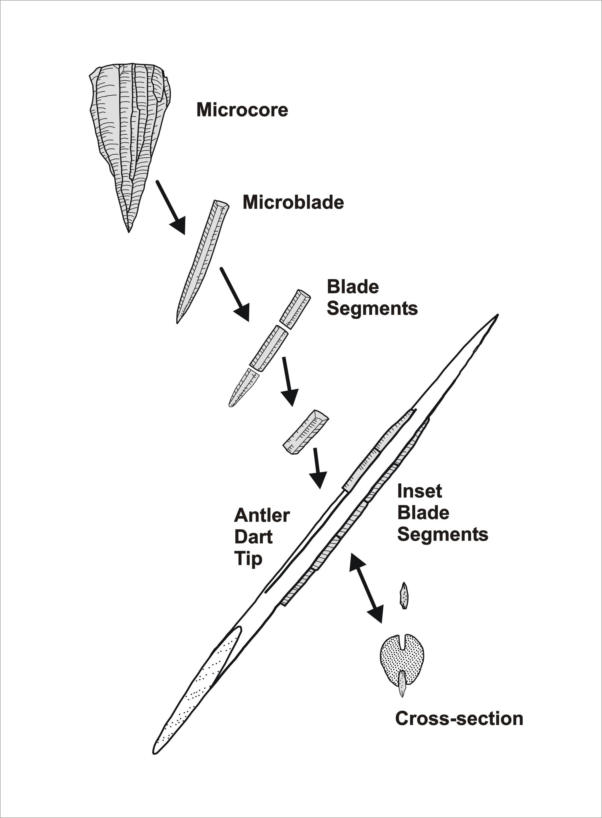 Composite Dart Point