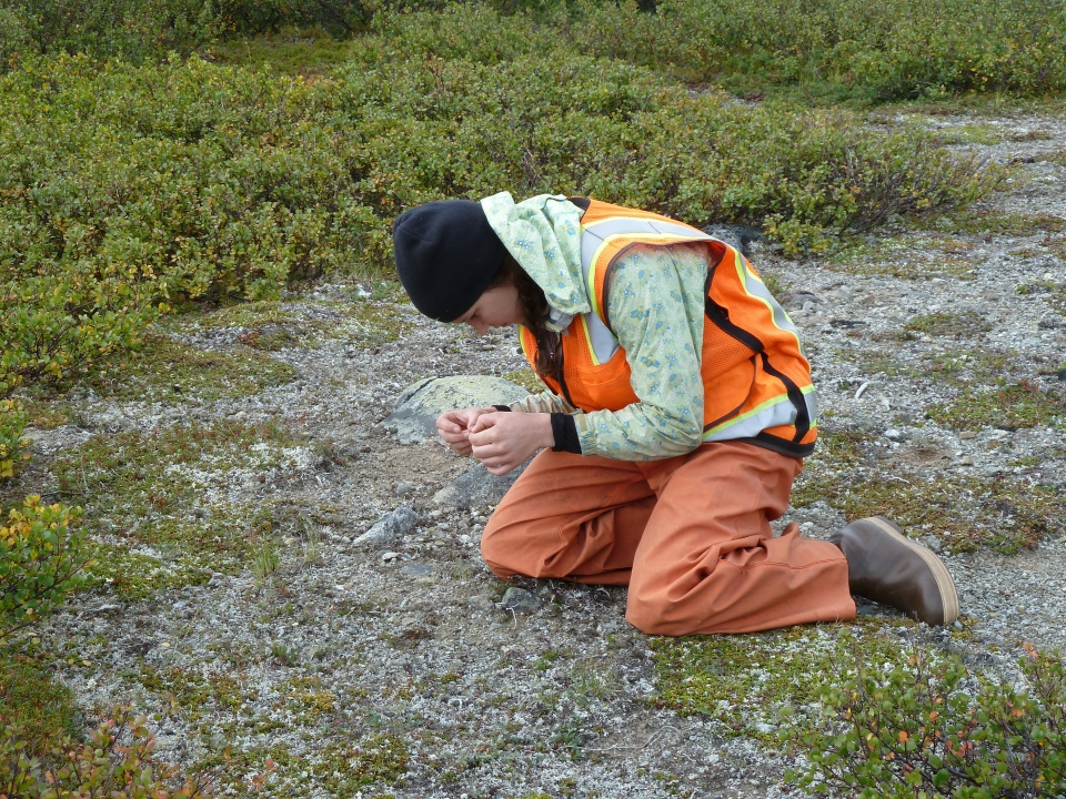 Denali Highway Archaeologists
