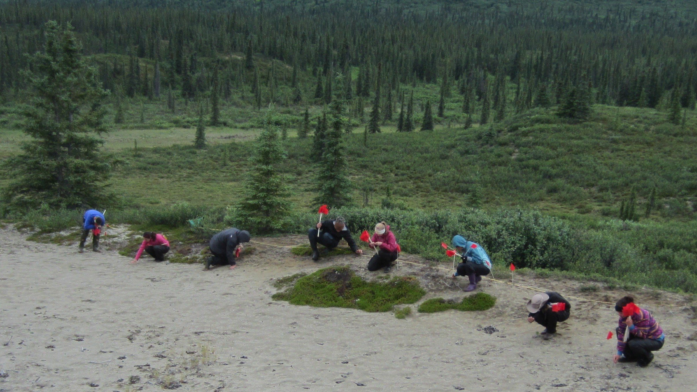 Denali Highway Archaeologists at Work