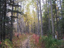 Matanuska Lakes State Recreation Area Bike Trails