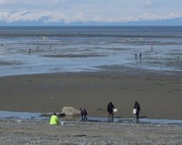 Ninilchik Beach Day Use Area