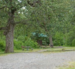 Silver King Campground