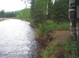Upper Chatanika River State Recreation Site