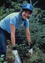 Volunteer planting trees