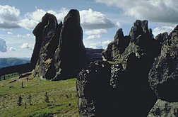 Tors in Chena River SRA