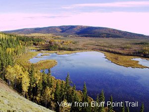 View from Bluff Point Trail