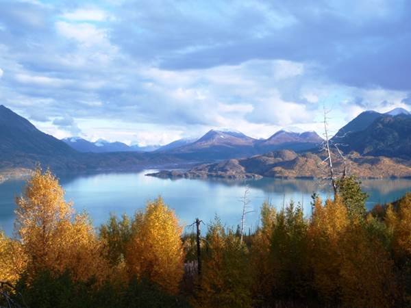 Kenai River Hiking scenes