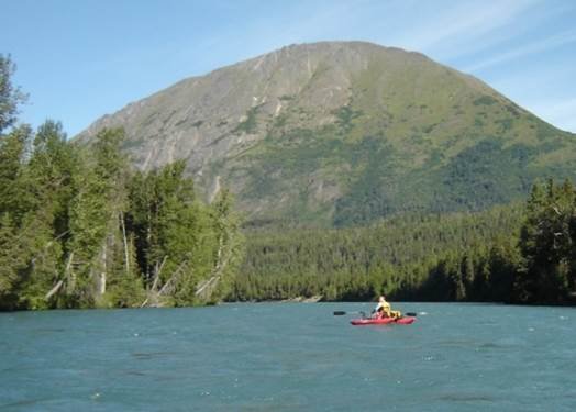 Kenai River Ducks