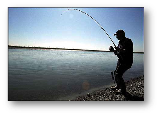 Fishing on the Kenai