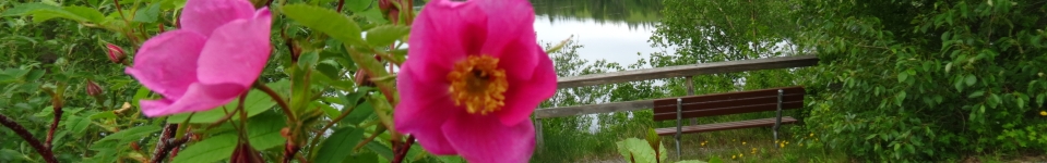 Matanuska Lake State Park