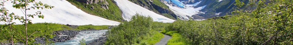 Trail to Byron Glacier