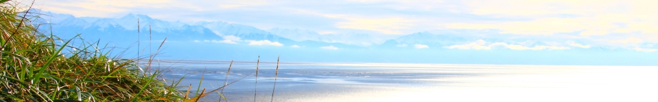 Turnagain Arm as seen from Kincaid Park